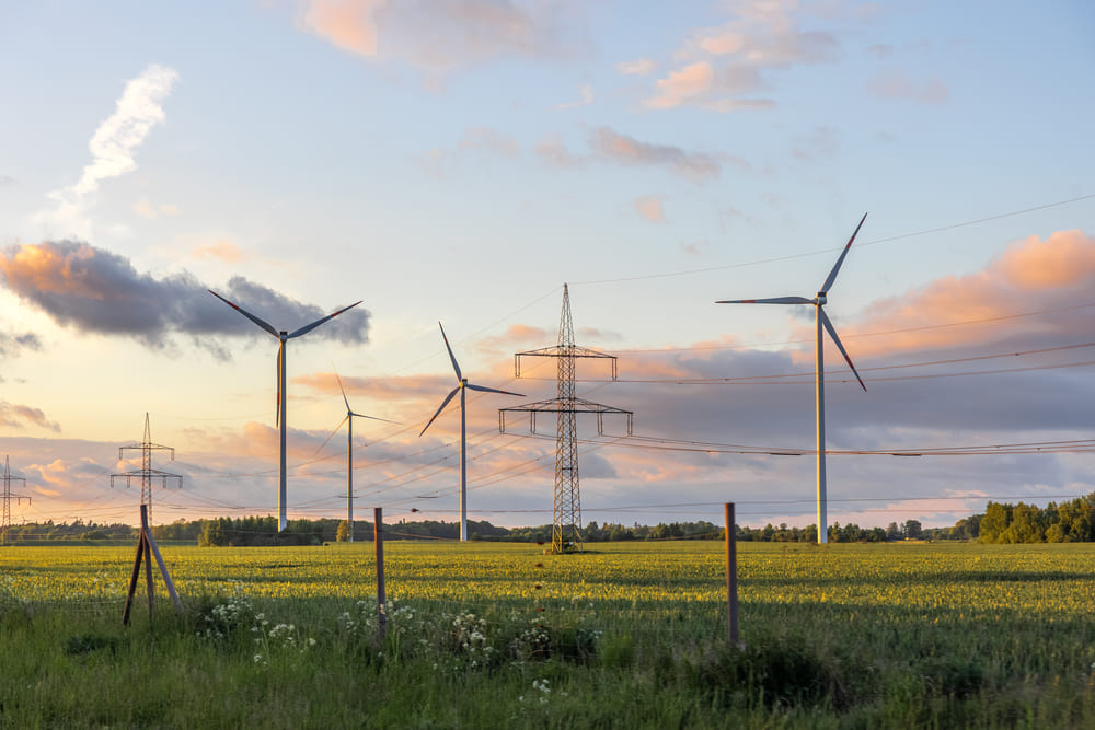 Wyrok TK P 10/16 – co oznacza dla właścicieli działek z urządzeniami przesyłowymi?